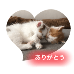 emily_20221230233318