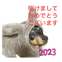 HANA_20221231145304