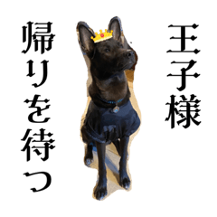 Mo-ri_20221231145542