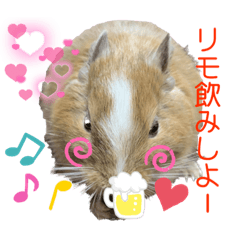 yun_20221231165737