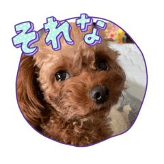 YUKA_20221231213116