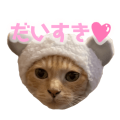 Natsume cat stamp