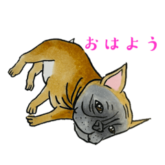 shin_20221231195917