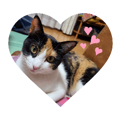 saori_20221231152747