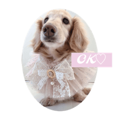 SAORI_20230101011027