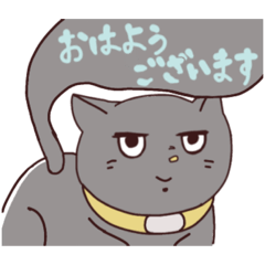 Tori_20221231154957