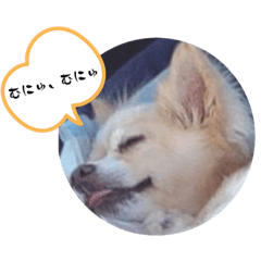 ako_20221231161522 – LINE stickers | LINE STORE