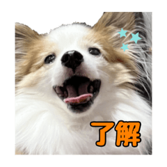 Hana_20221231225833