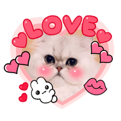 megumi_20221231190102