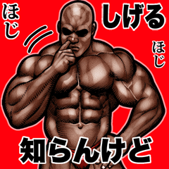 Shigeru dedicated Muscle macho Big 2