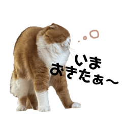 Moyu_20221231210145