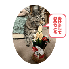 momoko_20221231193211