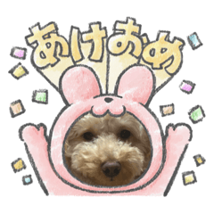 michiko_20221231214955