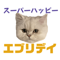 My lover ku_chan
