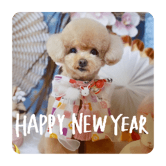 hikari_20230101004918