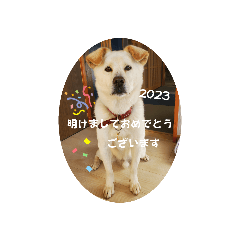 s.s_20230101101257