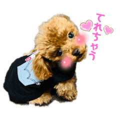 yuka_20230101101147