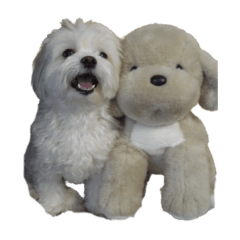 arisa_20230101141203