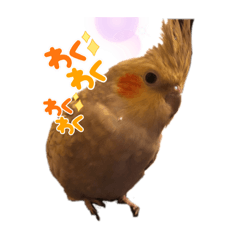 Mizuki_20230101130146