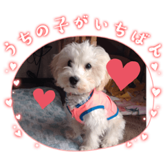 YUKA_20230101164405