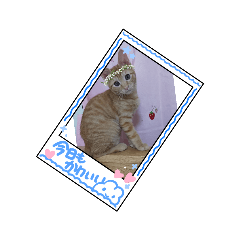 suzu_20230101162249