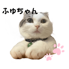 mizuki_20230101162849