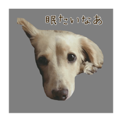 suzu_20230101174747