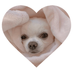 mizuki_20230101130252