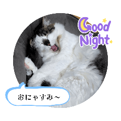 maru_20230101220845
