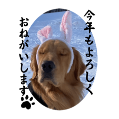 hana_20230101210116