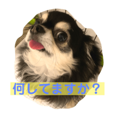toranosuke_20230101230431