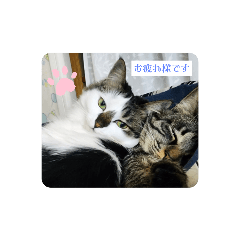 maru_20230101201159