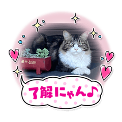 Hana_20230101221924