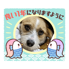 jack_20230101223937