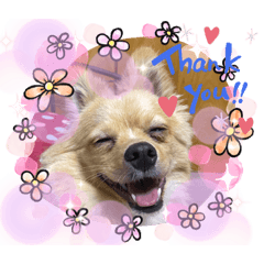 *.  oto's stamp&nbsp; &nbsp;1*.