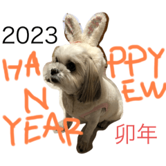 yukari_20230102104221