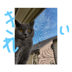 Hana_20230102112311