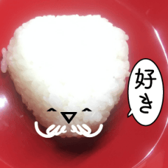 rice ball & rice ball