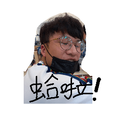 期間限定石斑寫真