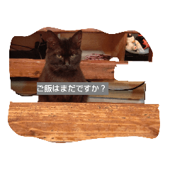 omo_20230101233353