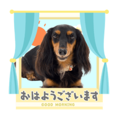 suzu_20230102155416