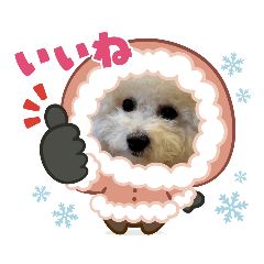 shiho_20230102163339