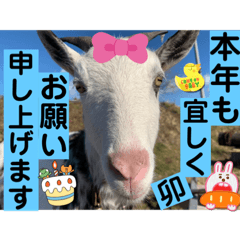 sayuri_20230102160254