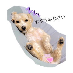hana_2023