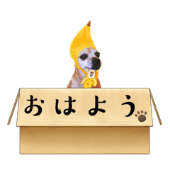 Hikaru_20230102205634