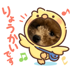 yuka_20230102212245