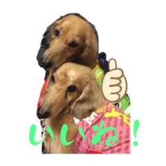 yukari_20230102230620