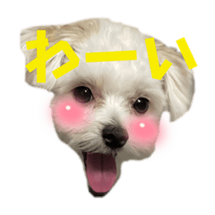 kinaco_20230102182633