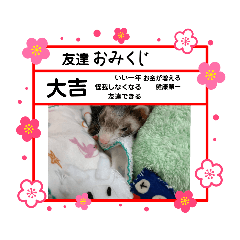 mohika_20230102181139