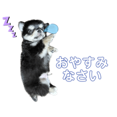 fukuchan stamp!!